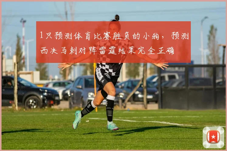 1只预测体育比赛胜负的小狗，预测西决马刺对阵雷霆结果完全正确